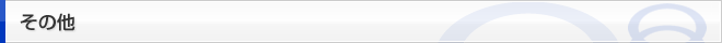 その他